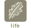 life